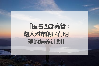 匿名西部高管：湖人对布朗尼有明确的培养计划
